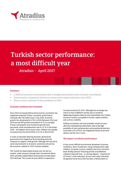 Turkish sector performance: a most difficult year