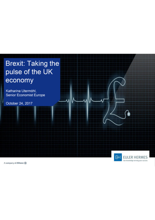 Brexit: Taking the pulse of the UK economy