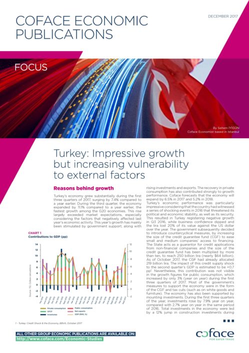 Turkey: Impressive growth but increasing vulnerability to external factors