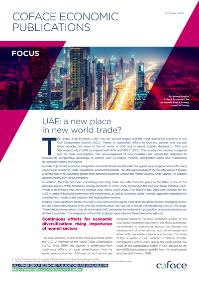 UAE: a new place in new world trade?
