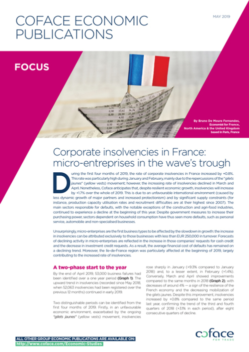 Corporate insolvencies in France: micro-entreprises in the wave’s trough