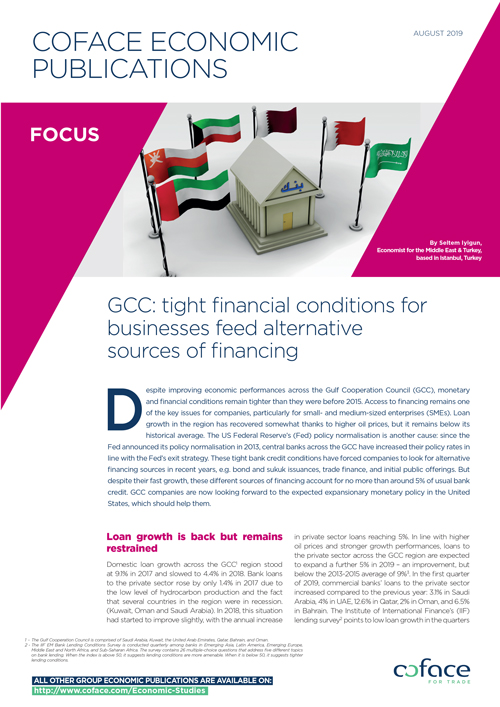 GCC: tight financial conditions for businesses feed alternative sources of financing